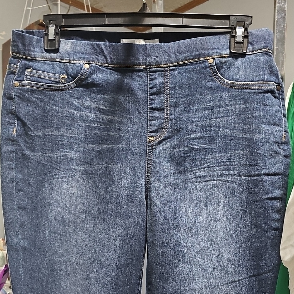 Boston Proper Blue Jeggings with Stretch and Pull-On Design